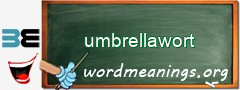 WordMeaning blackboard for umbrellawort